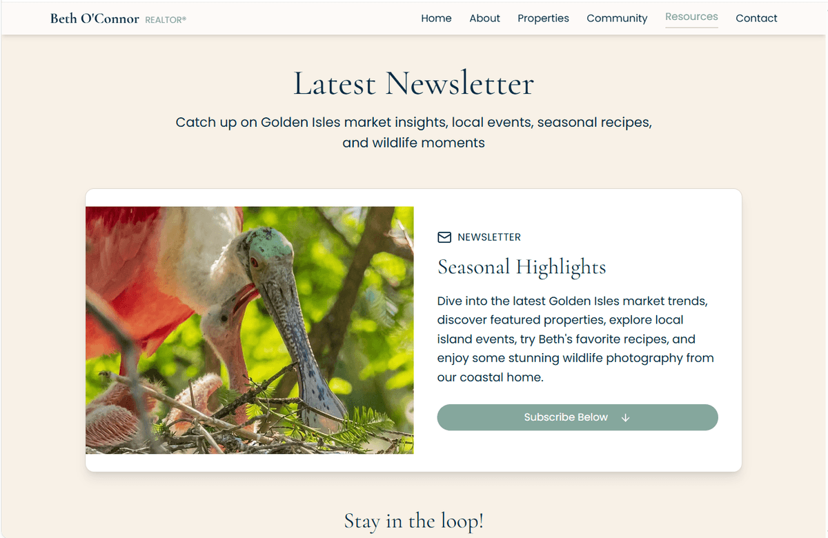Realtor newsletter and buyer resources — email signup with area guides and loan calculator